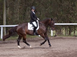 2017 Udkantscup dressur ØLR september